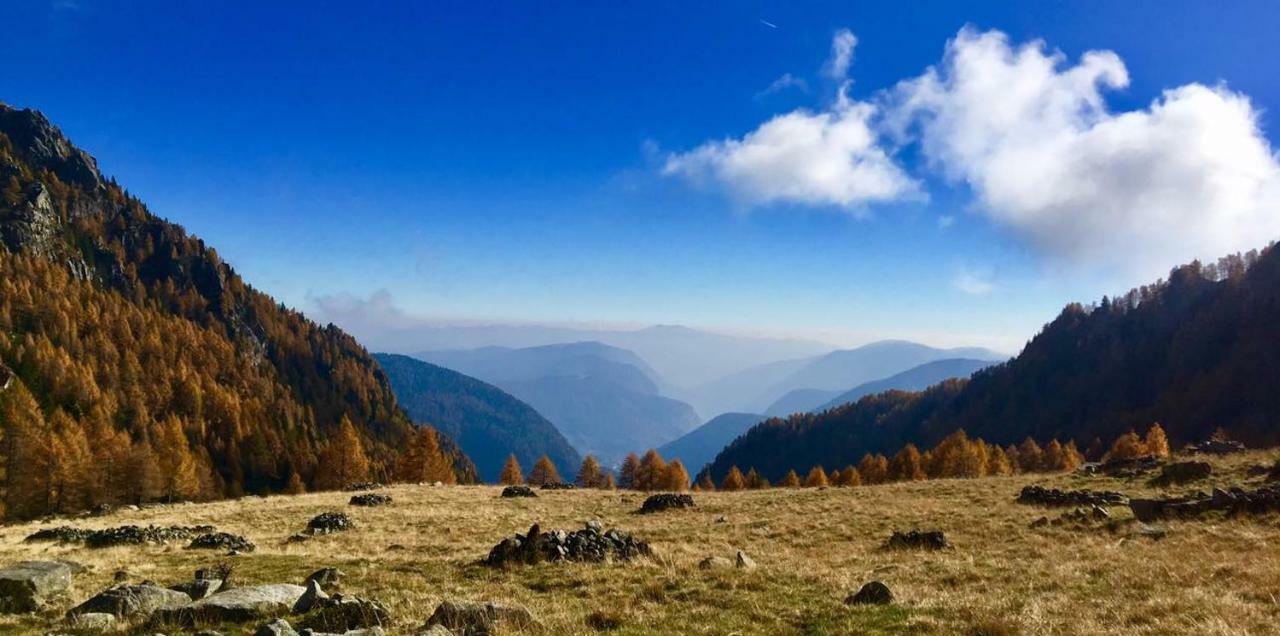 Taxus Hostel Pieve Tesino Екстер'єр фото