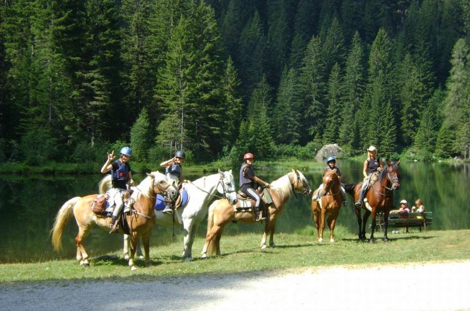 Taxus Hostel Pieve Tesino Екстер'єр фото
